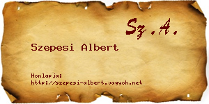 Szepesi Albert névjegykártya